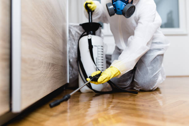 Best Pest Prevention Services  in Iota, LA