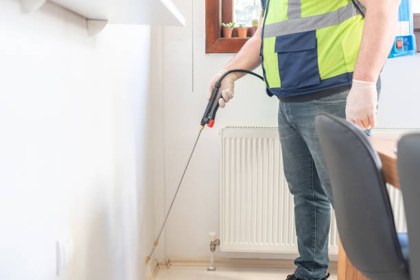Best Pest Removal Services  in Iota, LA