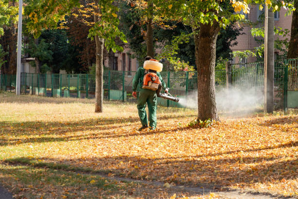 Best Exterminator Services  in Iota, LA