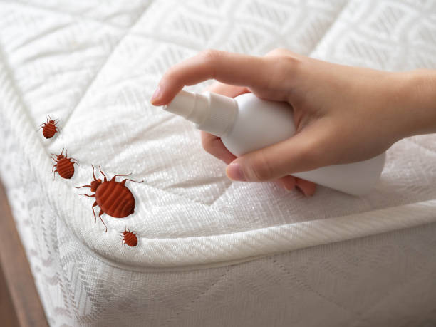 Best Best Pest Control Companies  in Iota, LA