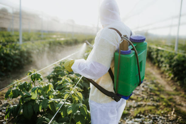 Best Emergency Pest Control  in Iota, LA